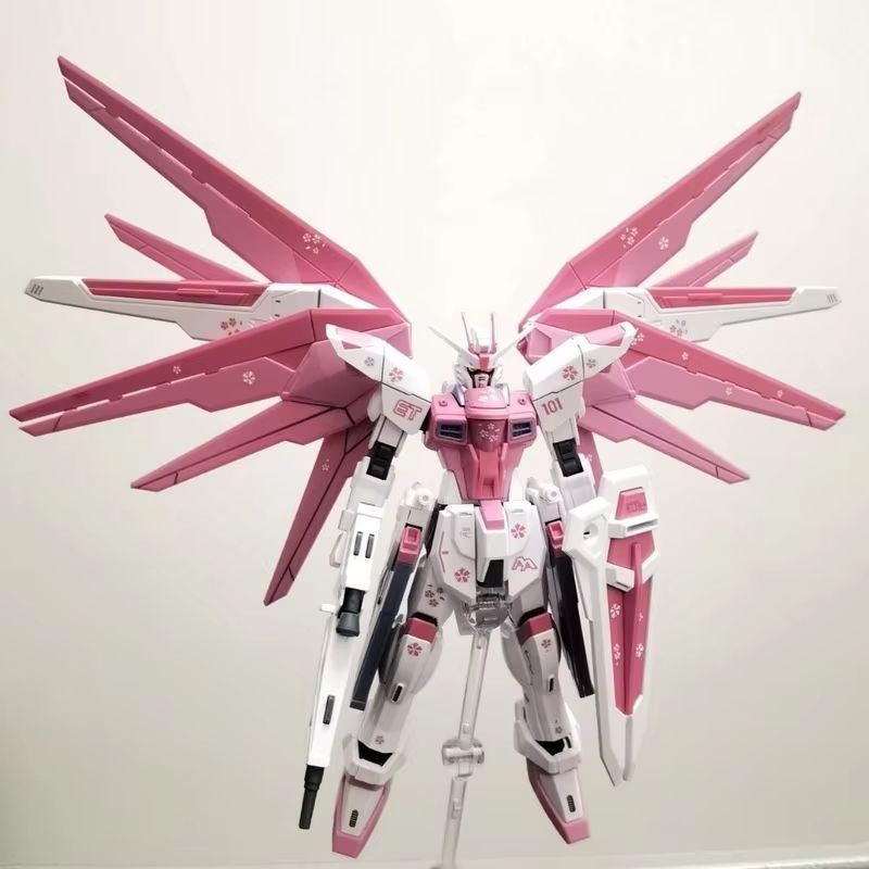 JMS HG 1/144 ZY-06 Freedom Ass - огляд і ціна Bandai Model Gundam Hg