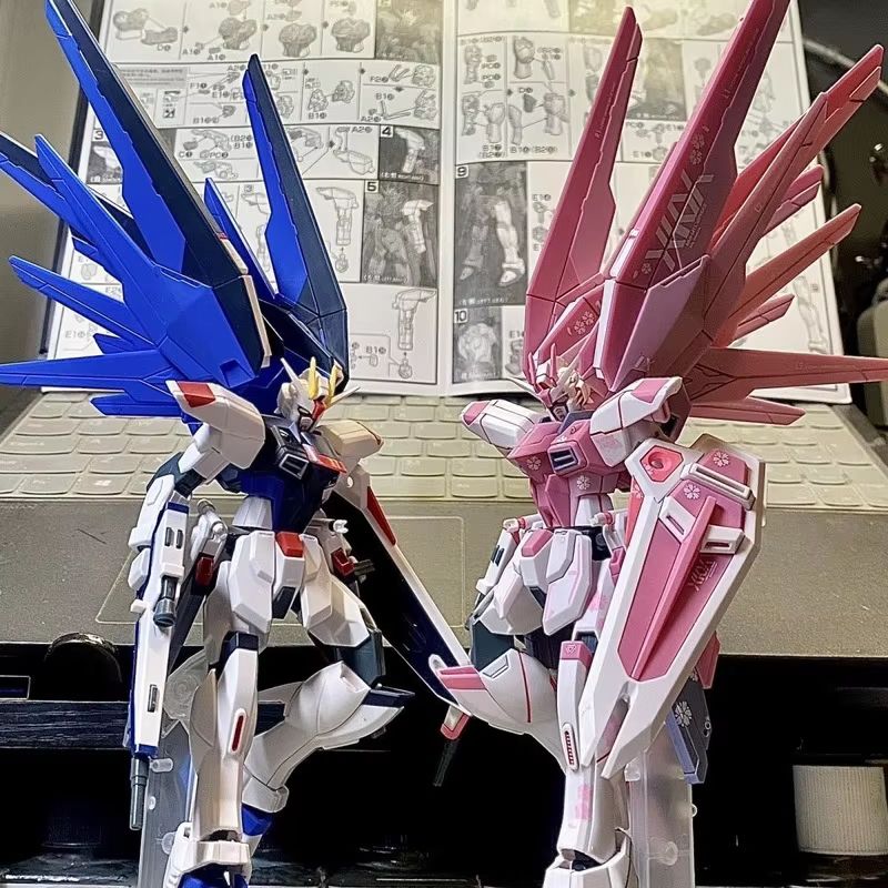 JMS HG 1/144 ZY-06 Freedom Ass - огляд і ціна Bandai Model Gundam Hg